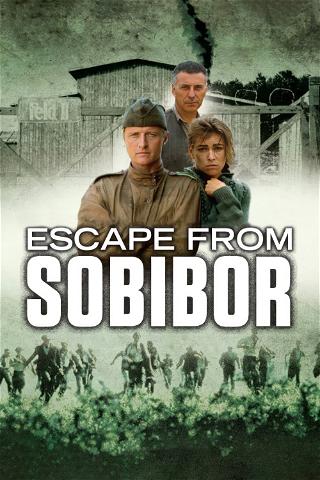 Flukten fra Sobibor poster