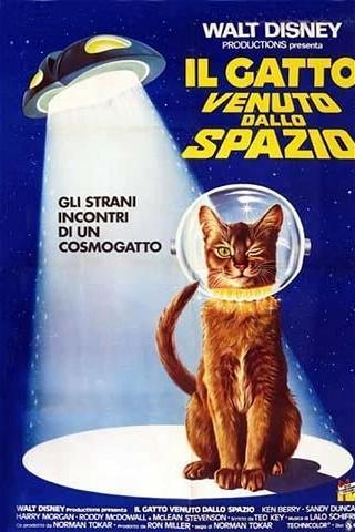 Il gatto venuto dallo spazio poster