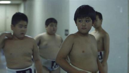 Chikara - The Sumo Wrestler's Son poster