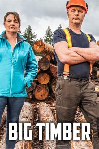 Big Timber poster