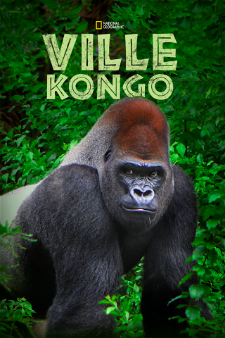 Ville Kongo poster