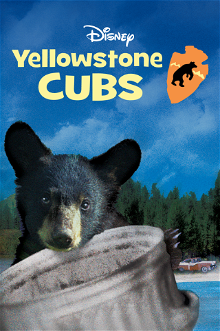 Yellowstone Cubs poster