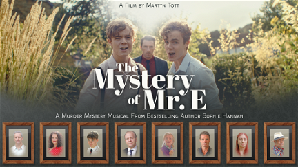 The Mystery Of Mr E poster