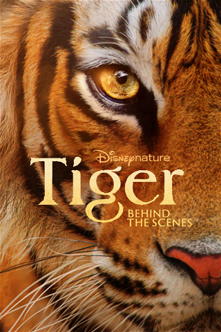 Tiger – Behind the scenes poster