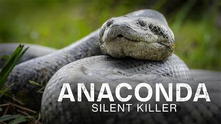 Anaconda: Asesina silenciosa poster