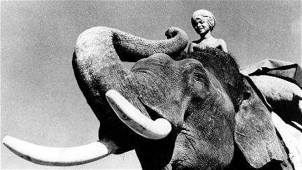 Sabu - Toomai, el de los elefantes poster