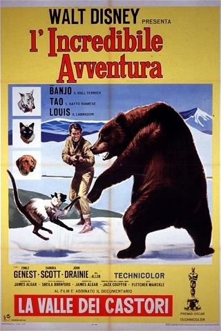 L'incredibile avventura poster