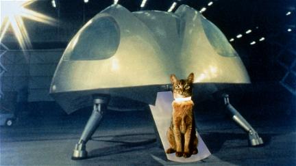 El gato que vino del espacio poster