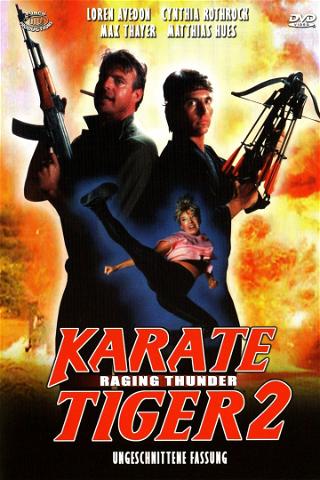 Karate Tiger 2 poster