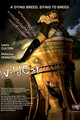 WildCat poster