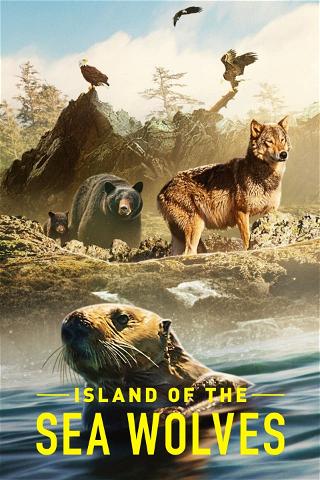A Ilha dos Lobos poster