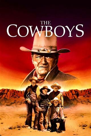 Cowboyt poster
