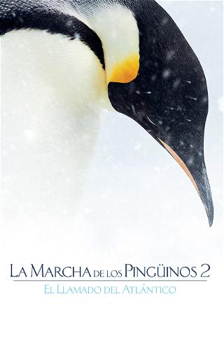 La Marcha de los Pingüinos 2: El llamado del Atlántico poster