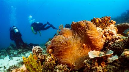 La Gran Barrera de Coral: la próxima generación poster