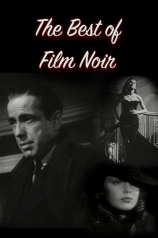 The Best of Film Noir poster