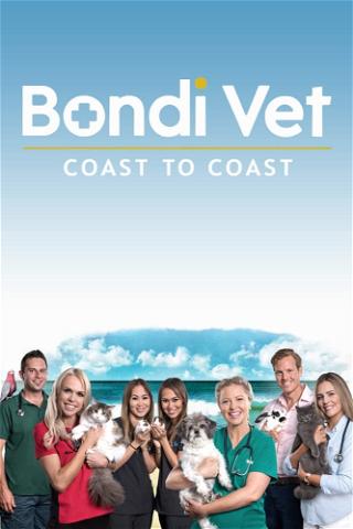 Les vétos de Bondi Beach poster