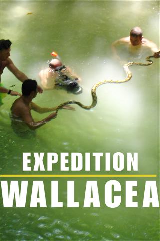 Expedition Wallacea poster