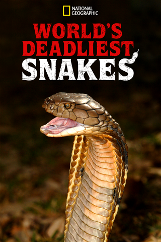 Un monde mortel : redoutables serpents poster