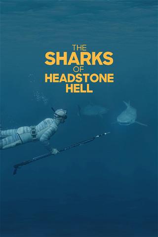 The Sharks of Headstone Hell poster