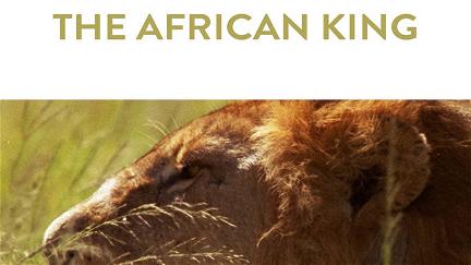 Addo - The African King poster