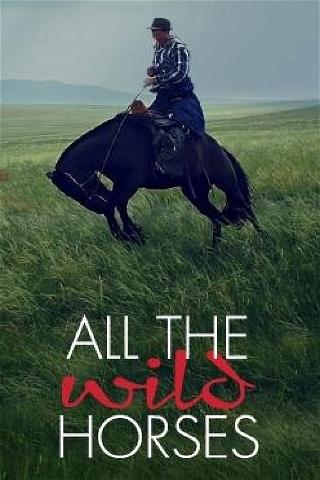 All the Wild Horses poster