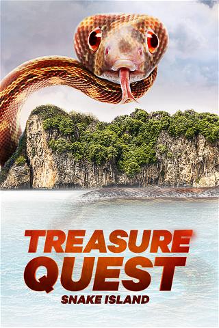 Die Schatzsucher von Snake Island poster