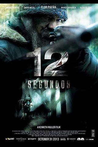 12 segundos poster