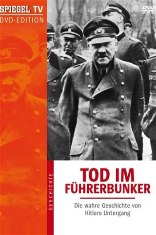 Muerte en el Bunker: El declive de Hitler. poster