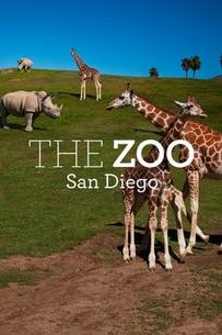 San Diegon eläintarha poster