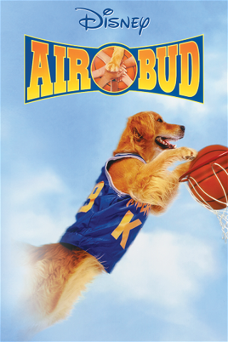 Basketball-hunden poster