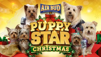 Puppy Star Kerstmis poster
