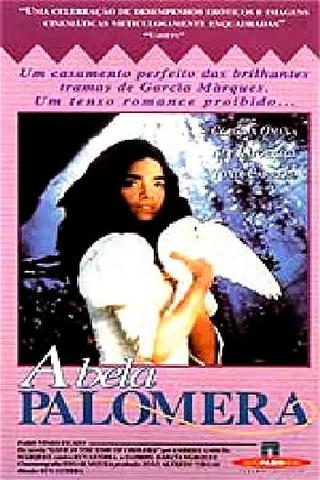 Fábula de la bella Palomera poster