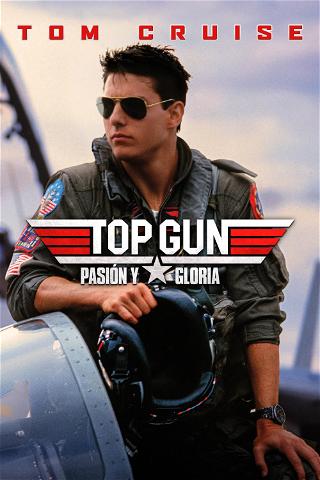 Top Gun: Ídolos del aire poster