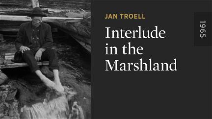 Interlude in the Marshland poster