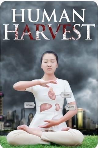 Human Harvest poster