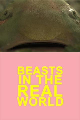 Beasts in the Real World poster