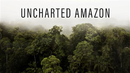 Uncharted Amazon poster