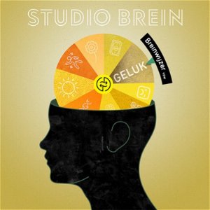 Studio Brein poster