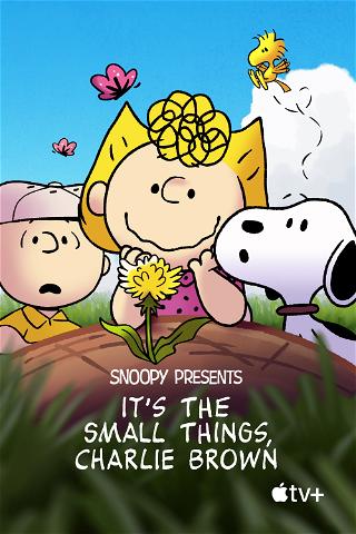 Snoopy Presents: It’s the Small Things, Charlie Brown poster