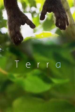 Tierra poster