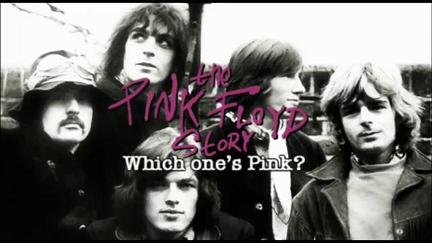 The Pink Floyd Story: Which One's Pink? poster
