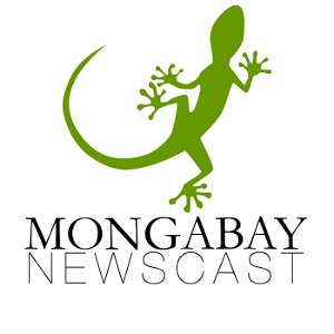 Mongabay Newscast poster