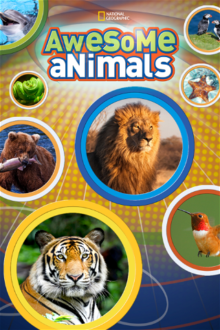 Awesome Animals poster