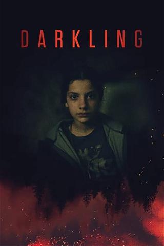 The Darkling poster