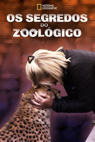 Os Segredos do Zoológico poster