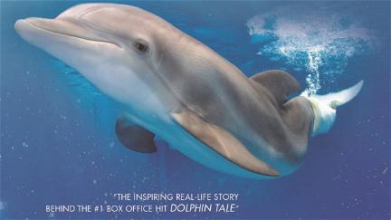Winter, the Dolphin that Can poster