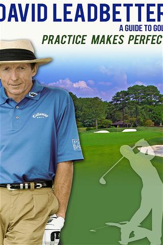 David Leadbetter: Practice Makes Perfect poster