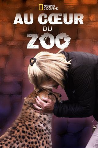 Au coeur du zoo poster