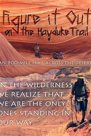 Ta reda på det på Hayduke Trail poster