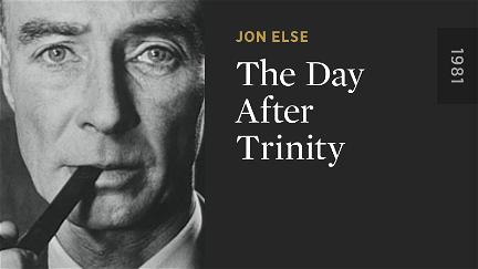 The Day After Trinity poster